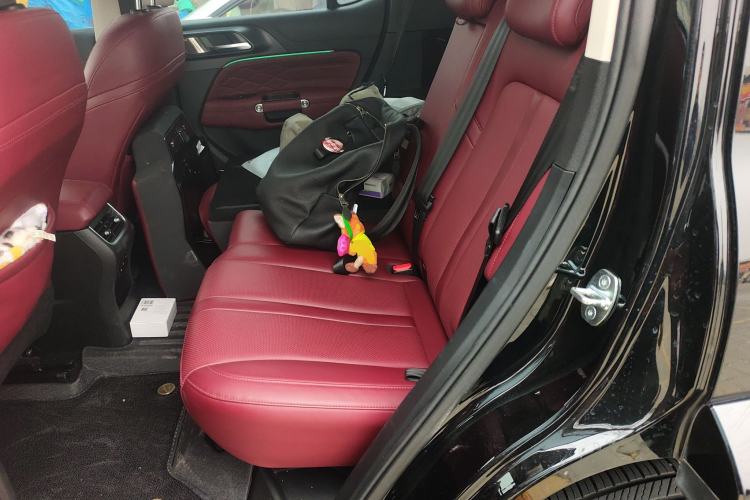 Used Tank 300 2024 2.0T Crosser