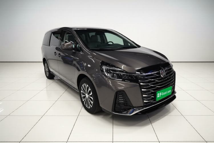 Used Buick GL8 2023 Land Executive Class 652T Luxury Model