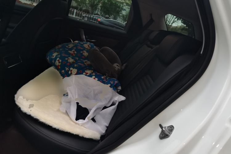 Used Land Rover Discovery Sport 2024 Performance Tech Edition Left Rear Seat