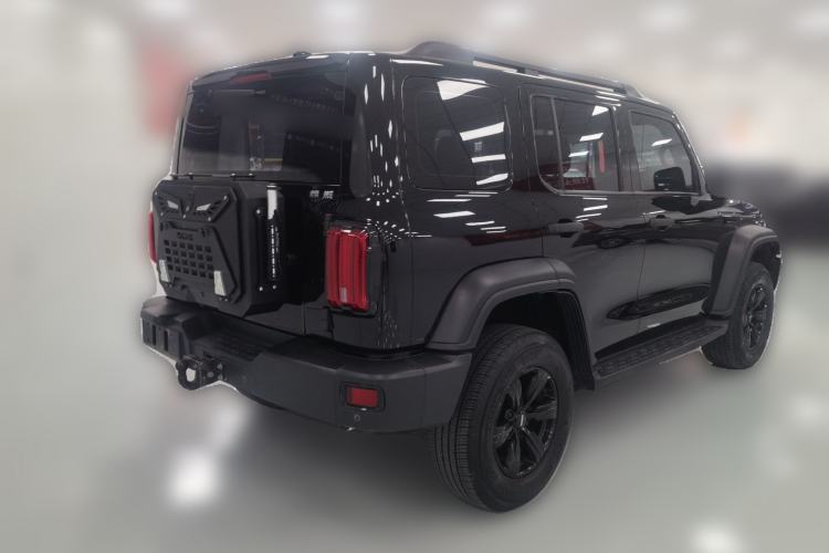 Used Tank 300 2021 2.0T Monet Tribute Limited Edition Rear Right 45 Deg