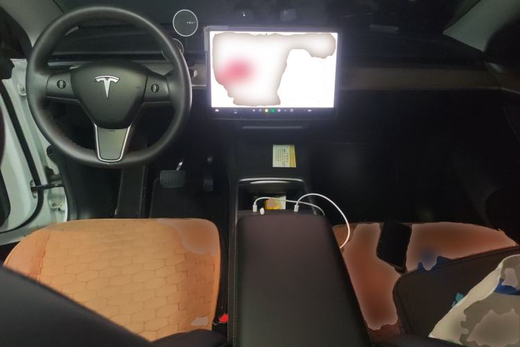 Used Tesla Model Y 2021 Standard Range Rear-Wheel Drive Version
