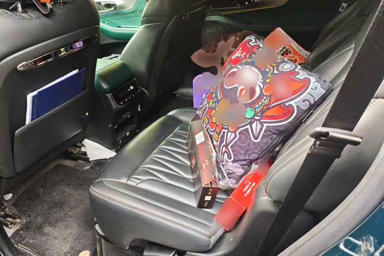 Used GAC Trumpchi GS8 2022 Double-Energy Series 2.0TM Two-Wheel Drive Prestige Edition (6 Seats) Left Rear Seat