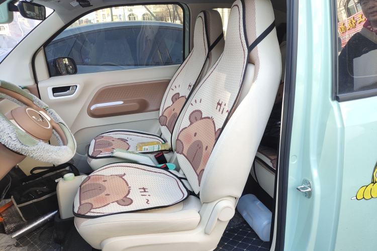 Used Wuling Hongguang MINIEV 2024 3rd Generation 215km Youth Edition Left Front Seat