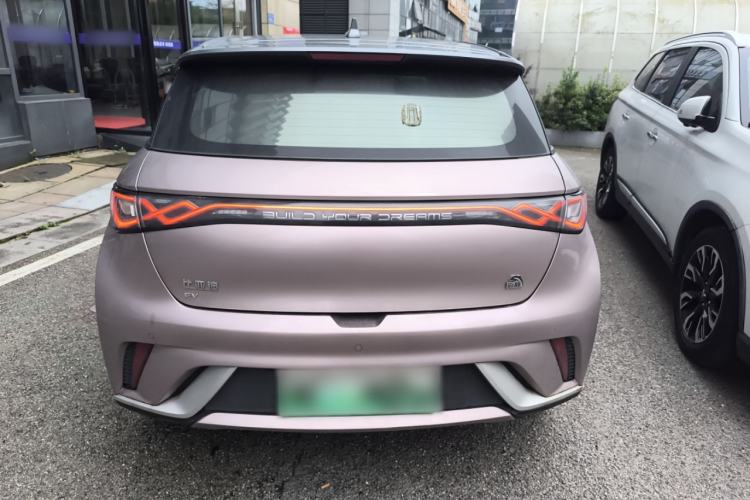 Used BYD Dolphin 2021 405 km Fashion Edition Rear