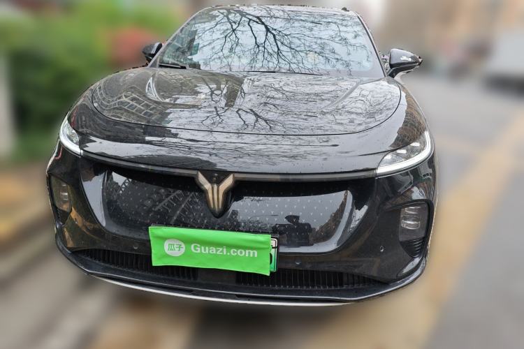 Used VOYAH COURAGE 2024 Four-Wheel Drive Global Edition