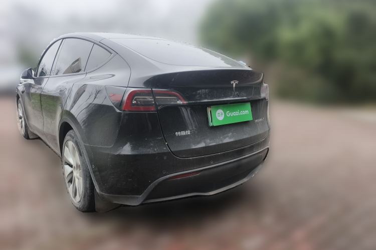 Used Tesla Model Y 2021 Standard Range Rear-Wheel Drive Version
