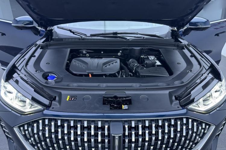 Used Wey Mocha 2021 2.0T Two-Wheel-Drive Premium Edition
