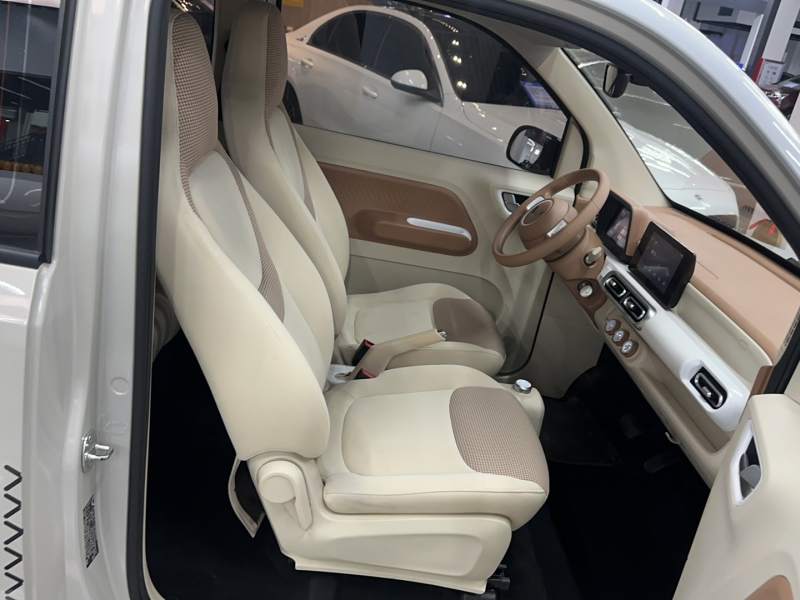 Used Wuling Hongguang MINIEV 2024 3rd Generation 215km Advanced Version — 24