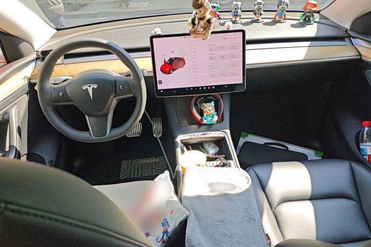 Used Tesla Model Y 2021 Standard Range Rear-Wheel Drive Version