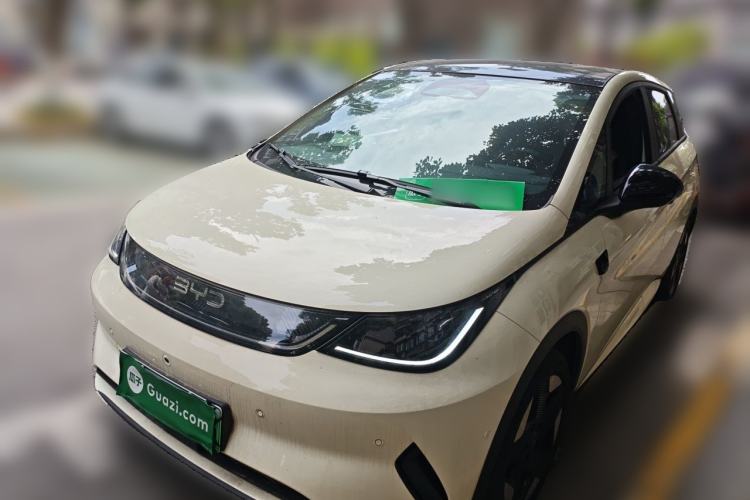 Used BYD Dolphin 2025 Intelligent Driving Version 520km Range Knight Edition