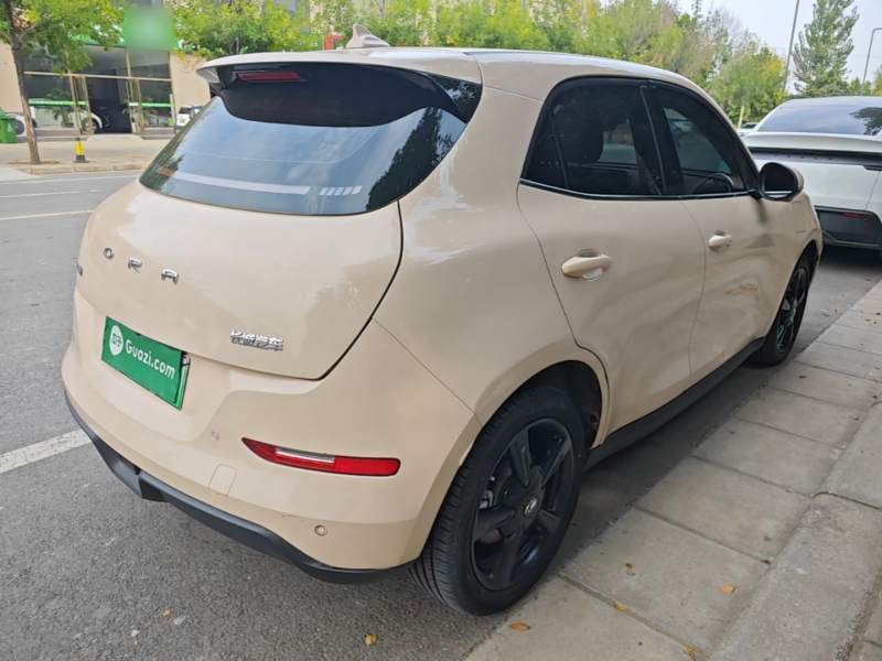 Used ORA Good Cat 2024 401 km Luxury Version — 6