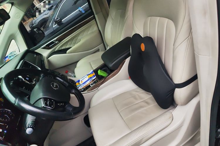 Used GAC Trumpchi M8 2018 320T Luxury Edition
