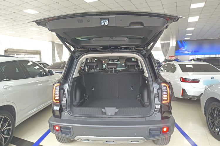 Used Haval DARGO 2024 2.0T DCT Chinese Rural Dog Edition
