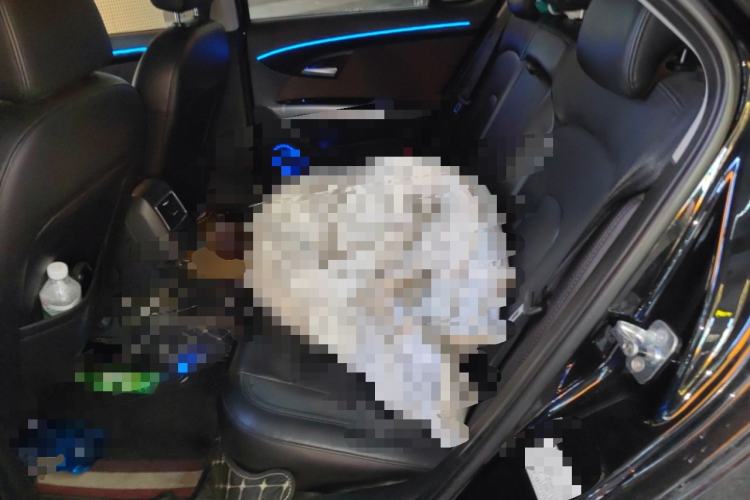 Used BAIC Senova D70 2018 Performance Edition 1.8T Prestige Version