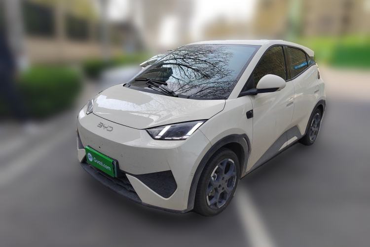 Used BYD Seagull 2025 Smart Drive Version 305 km Freedom Edition