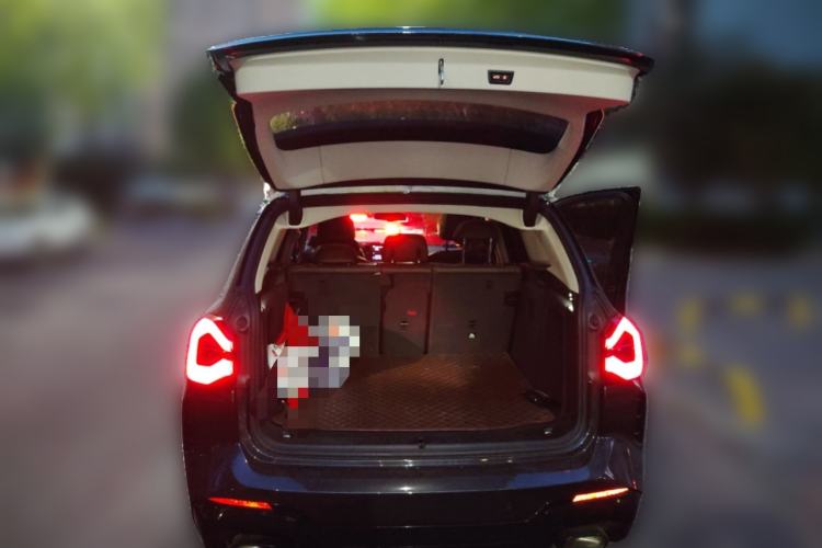 Used BMW X3 2022 xDrive30i Luxury Model M Night Sky Package
