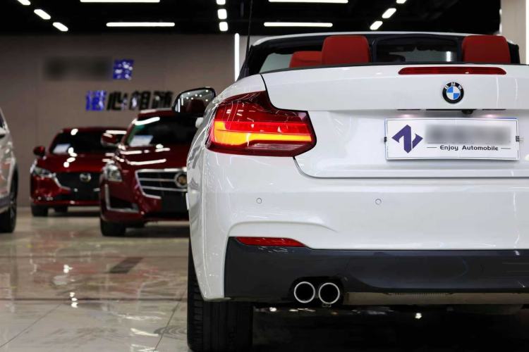 Used BMW 2 Series (Import) 2019 225i Convertible Coupe Luxury Edition M Sport Package