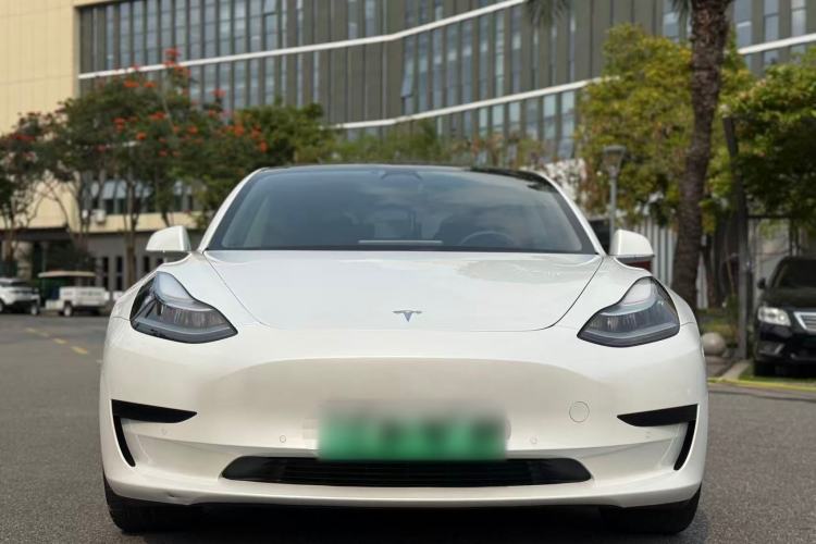 Used Tesla Model 3 2019 Standard Range Rear-Drive Upgraded Version Exterior 1