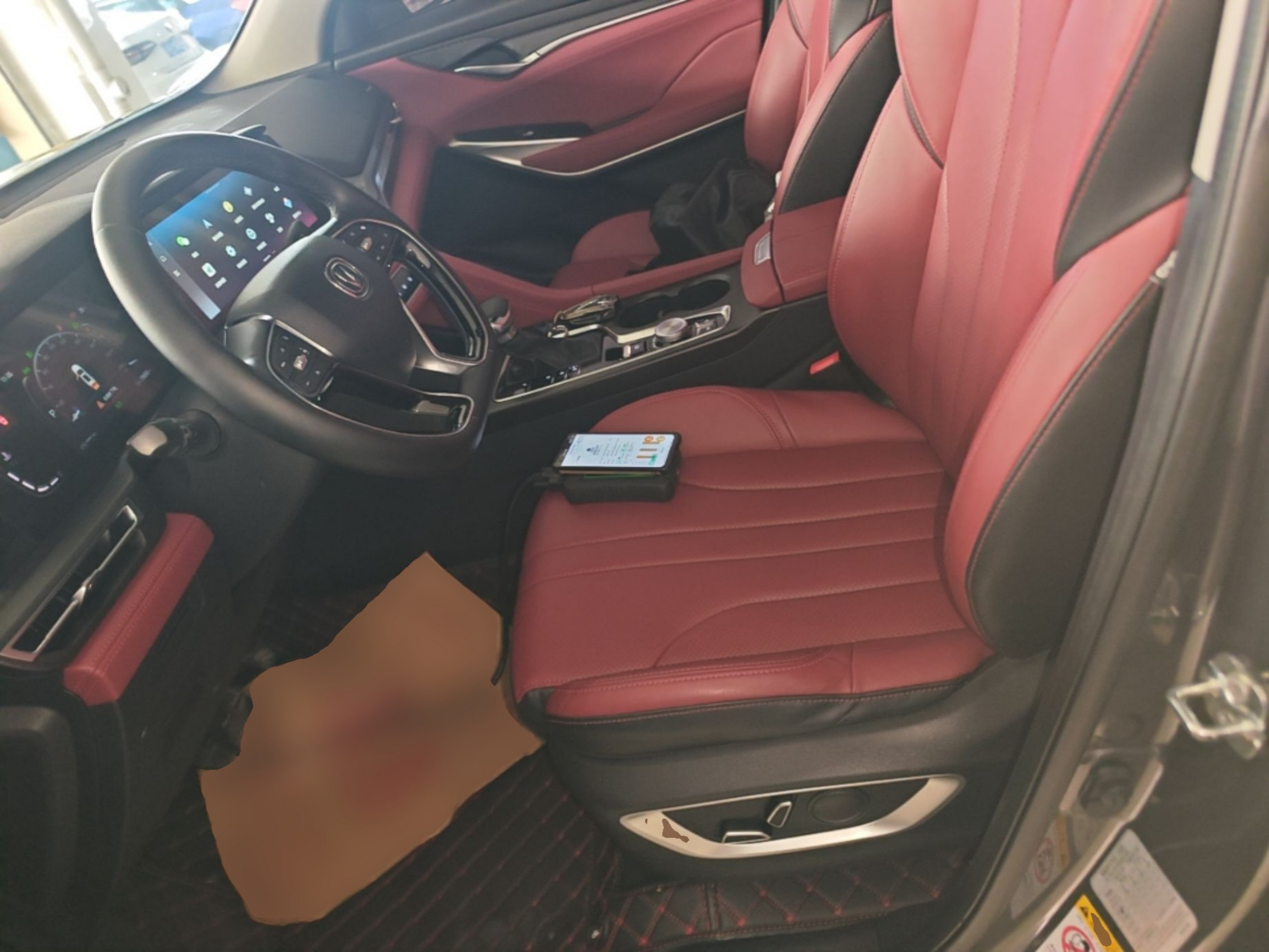 Interior delantero