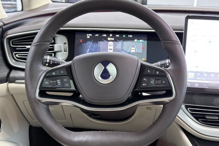 Used Denza D9 2023 PREMIER Founder Edition