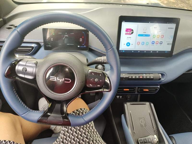 Used BYD Seagull 2024 Honor Edition 305km Freedom Version — 9