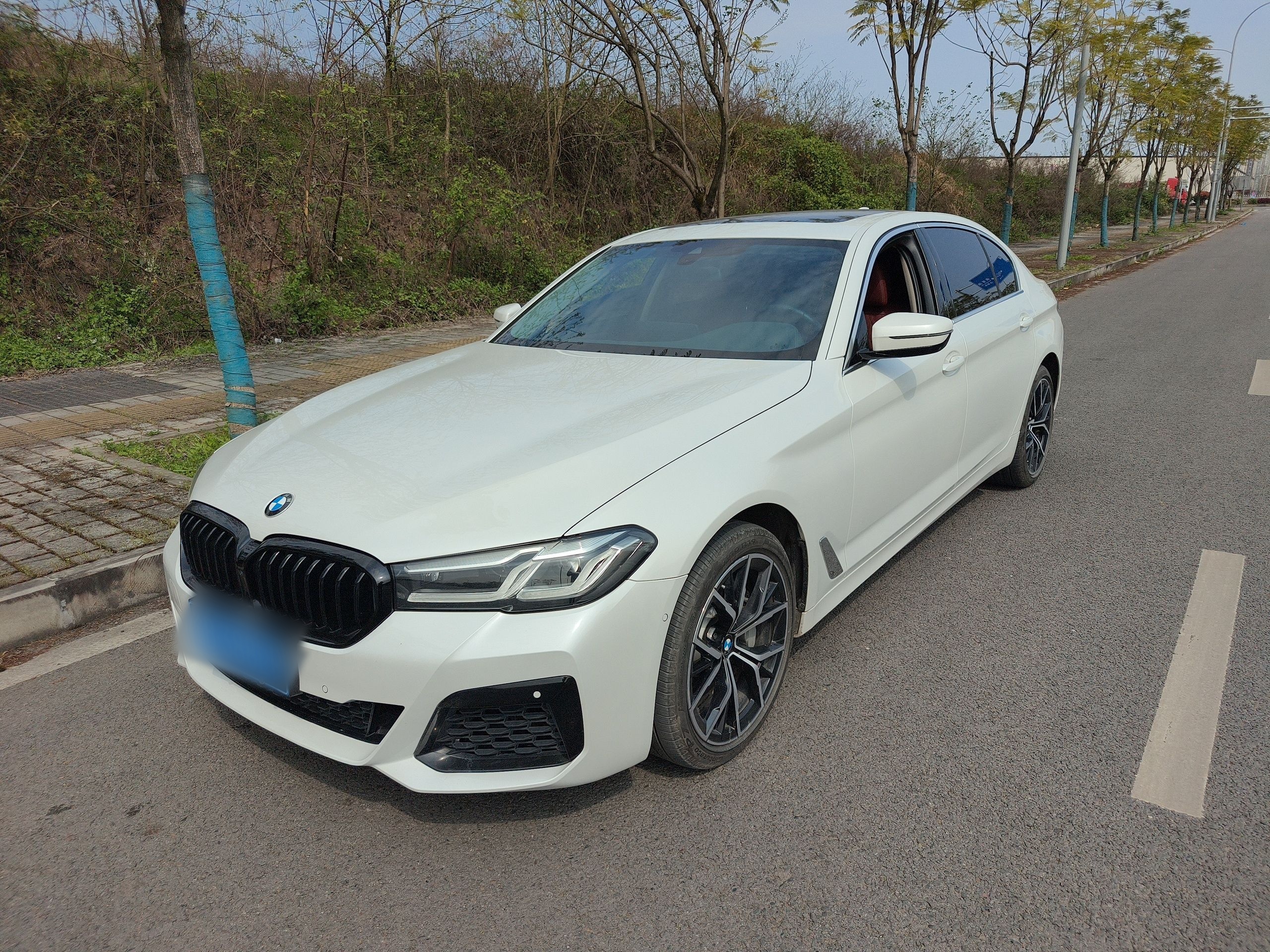 Parte inferior delantera