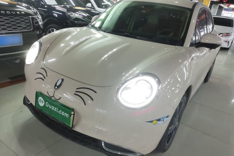 Used ORA Good Cat 2024 401 km Luxury Version