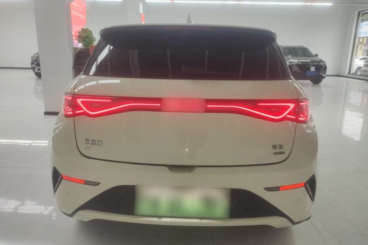 Used BYD Dolphin 2025 Smart Drive Version 420 km Freedom Edition Rear