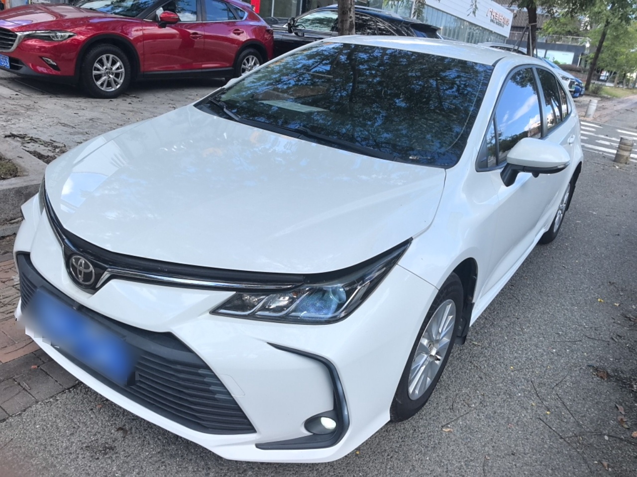 Under Front Bumper