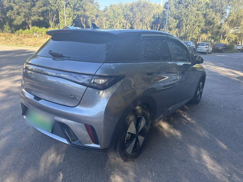 Used BYD Dolphin 2023 420 km Fashion Edition — 33