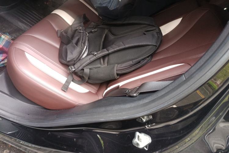 Used Geely Auto Monjaro L 2024 2.0TD High-Power Automatic Two-Wheel Drive Yunqi Version Left Rear Seat