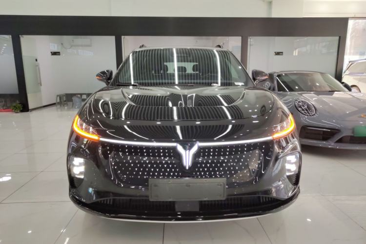 Used VOYAH COURAGE 2024 Four-Wheel Drive Global Edition