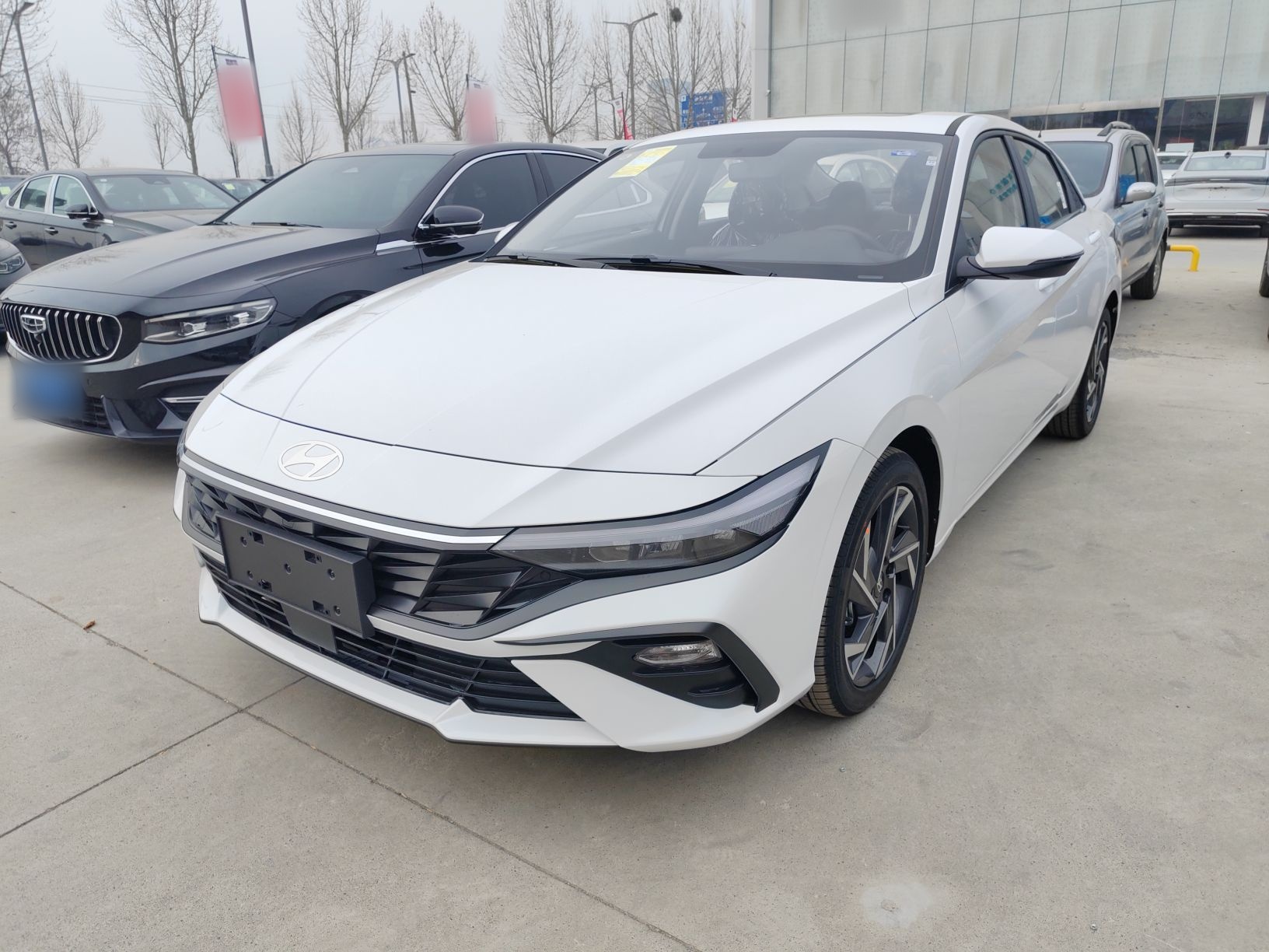 Parte inferior delantera