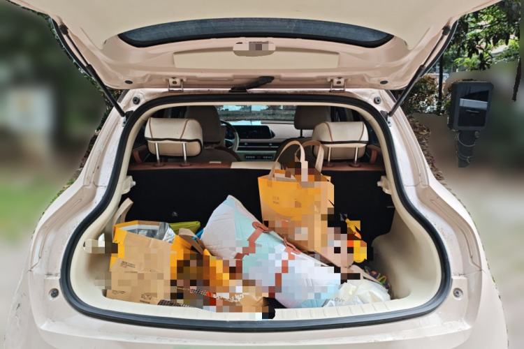 Used ORA Good Cat 2021 400km Standard Range Athena Edition Lithium-Ion Battery