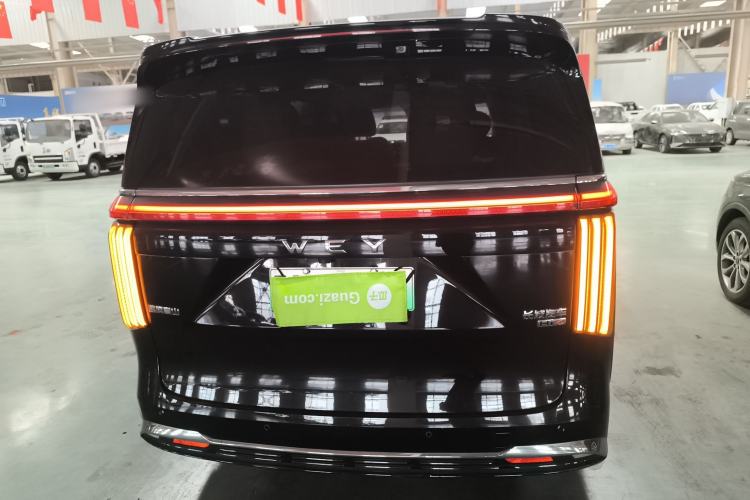 Used Wey Gaoshan 2023 Four-Wheel-Drive Executive Extended Version Rear