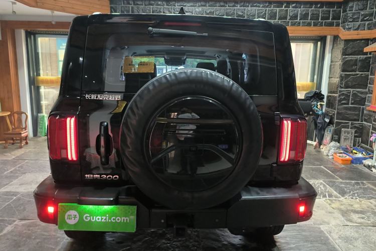 Used Tank 300 2024 2.0T Crosser Rear