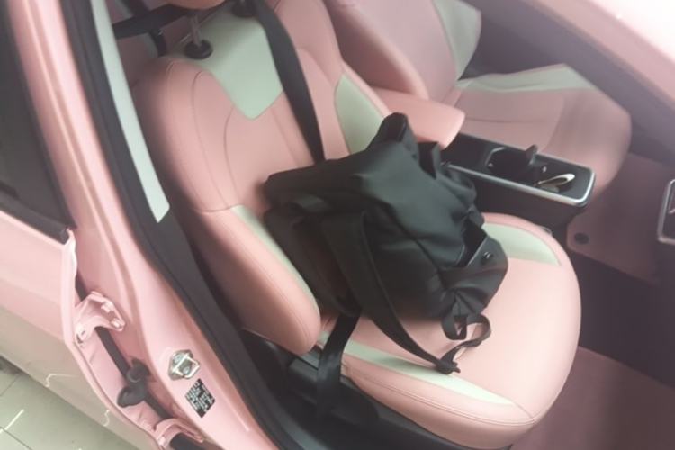 Used NETA V 2022 Chao 400 Lite Pink Custom Edition
