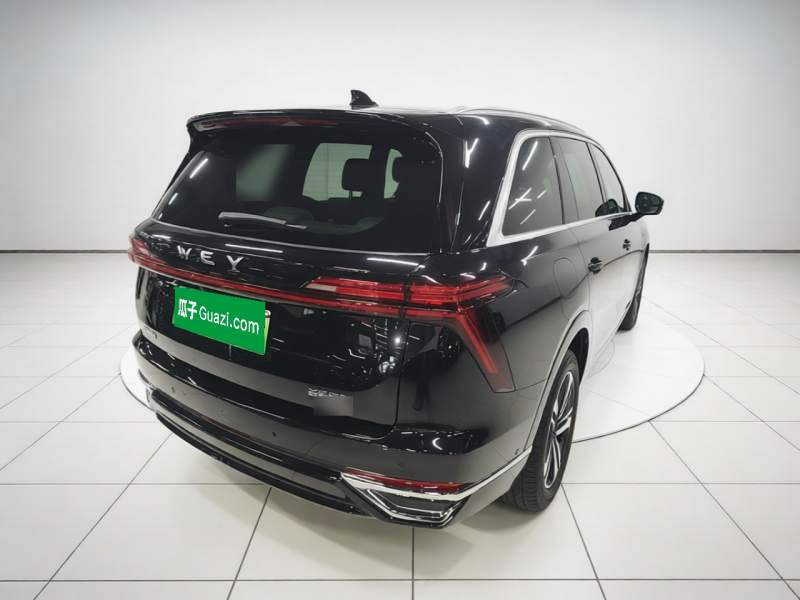Used Wey Lanshan 2025 Four-Wheel Drive Max — 6