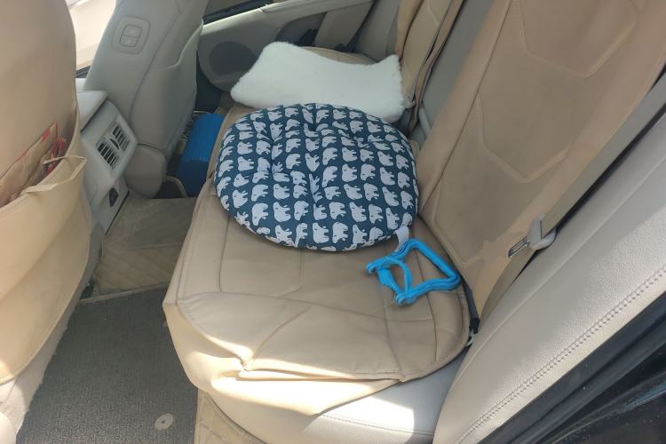 Used Toyota Camry 2019 2.5G Luxury Edition China VI Standard
