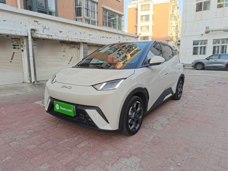 Used BYD Seagull 2024 Honor Edition 305km Freedom Version — 1