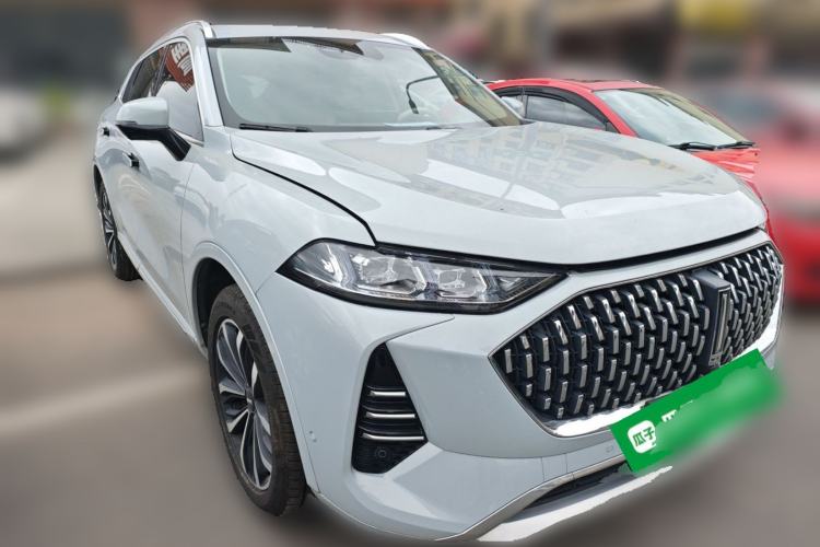 Used Wey Mocha 2021 2.0T Two-Wheel-Drive Ultra-Strong Version
