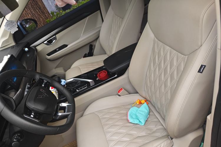 Used Wuling Asta 2021 1.5T CVT Star曜 Edition Left Front Seat