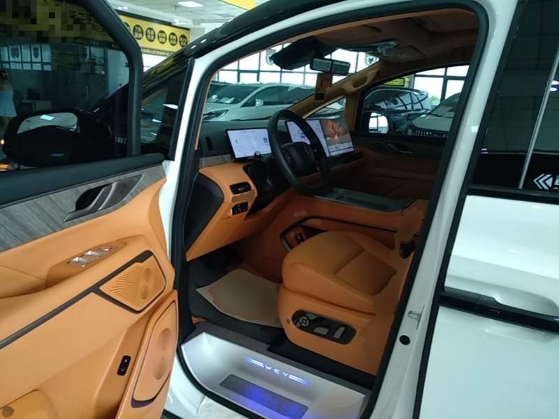 Used Wey Gaoshan 2025 Four-Wheel Drive Alpine 8 — 14