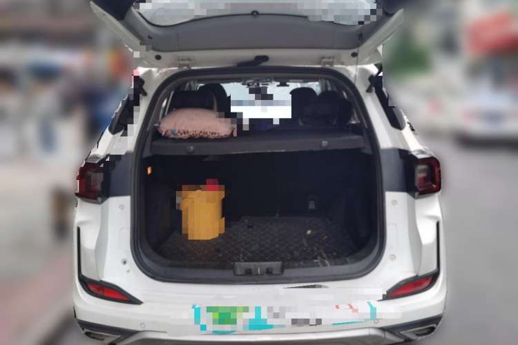 Used Cowin Xuanjie Pro EV 2022 401 km Enjoyment Version