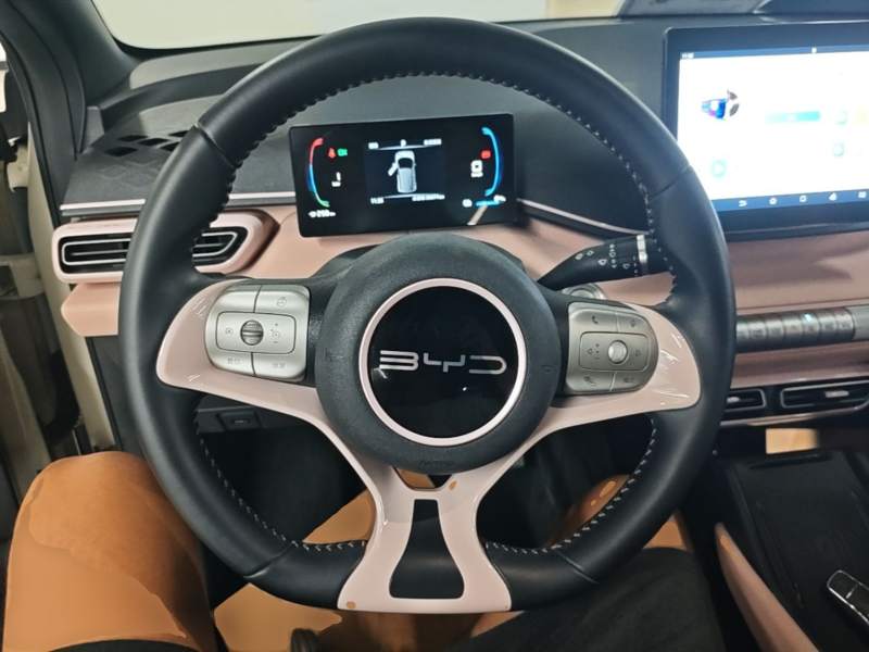 Used BYD Seagull 2023 Free Edition — 10