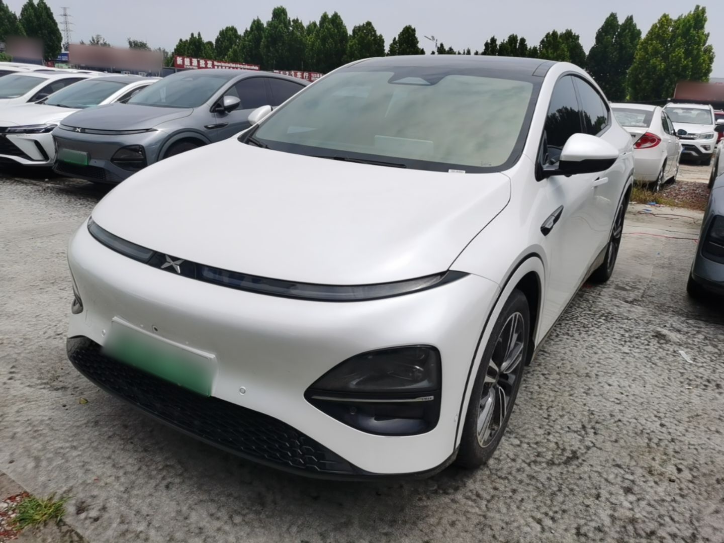 Under Front Bumper