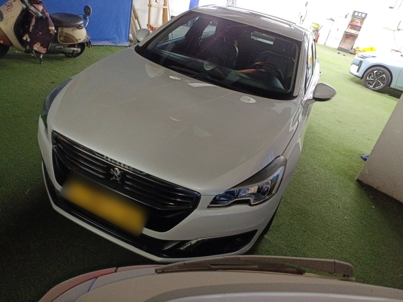 Parte inferior delantera