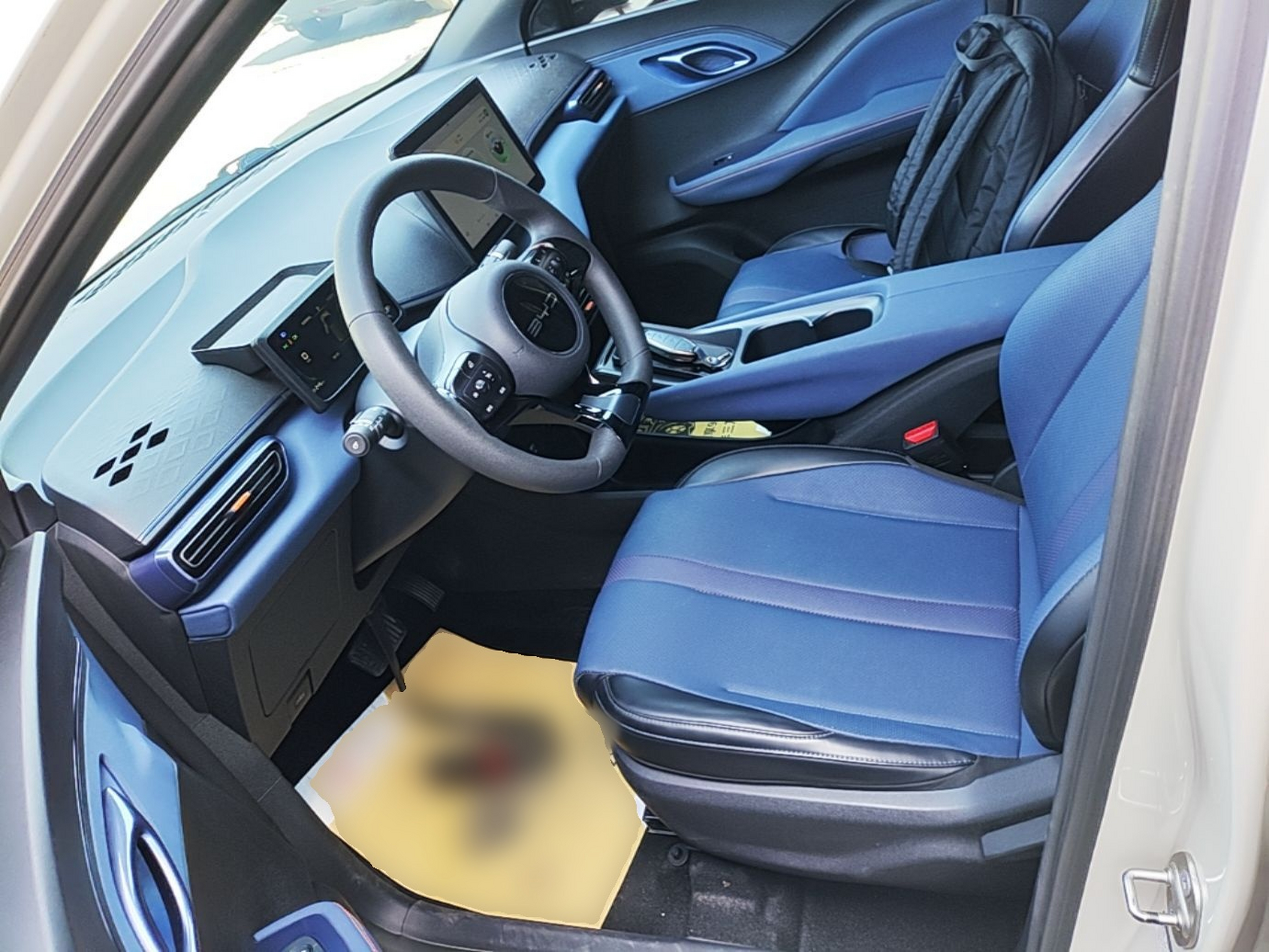 Interior delantero