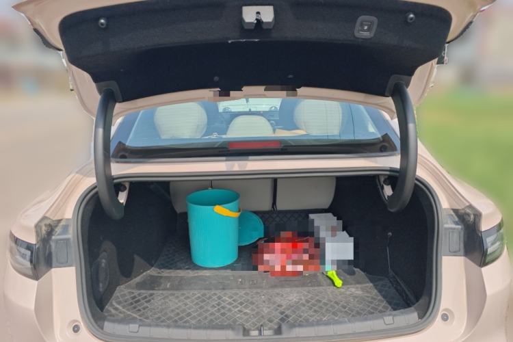 Used Leapmotor B01 2025 650 Enjoyment Edition