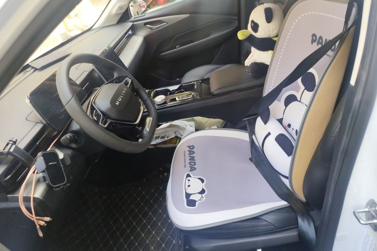 Used Wuling Xingguang 2024 Co-creation Edition 150 Standard Model
